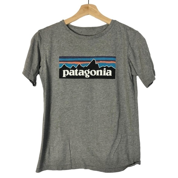 Patagonia Regenerative Responsibilitee Gray Logo Short Sleeve T-Shirt L - Picture 1 of 3